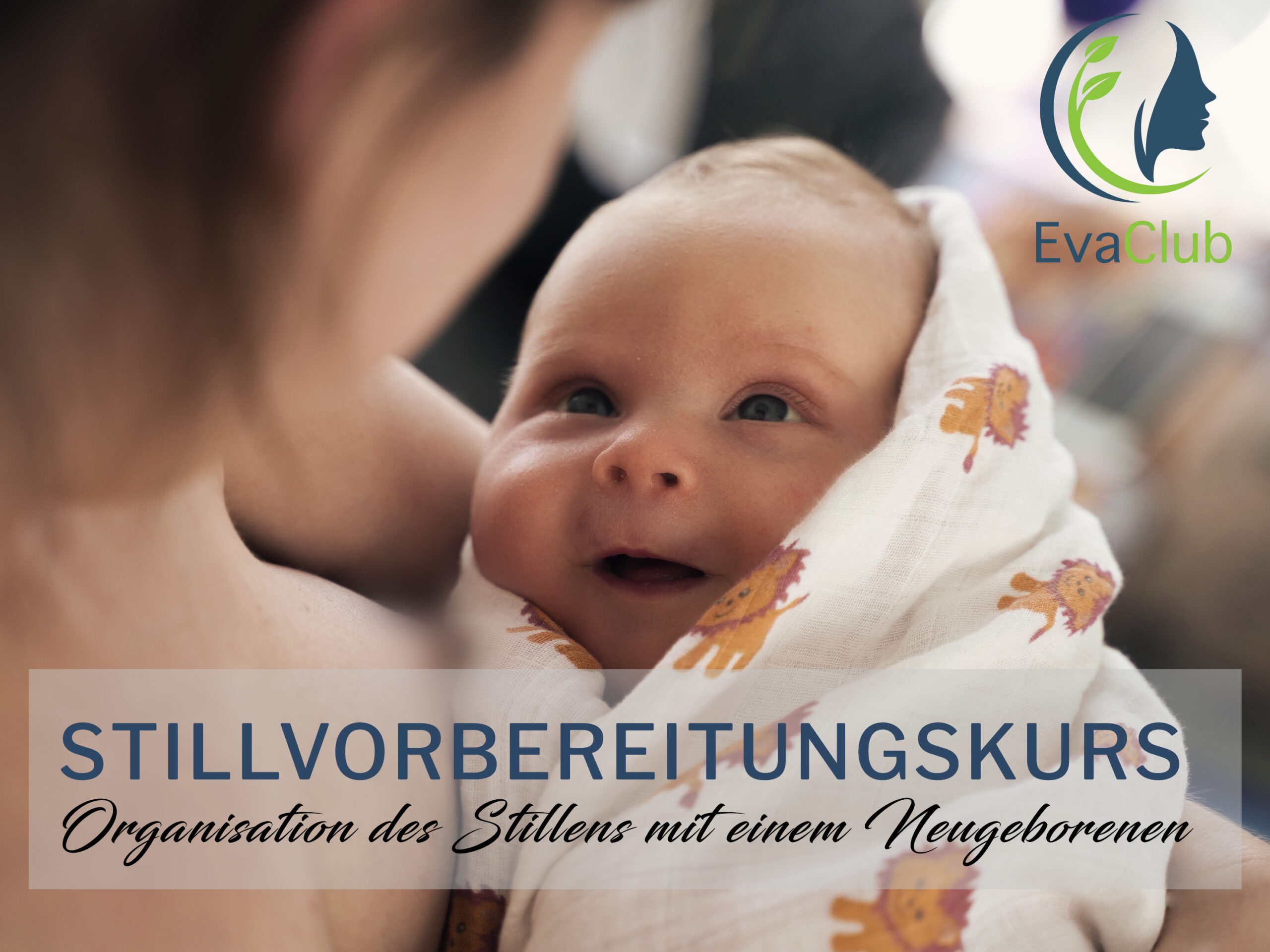Stillvorbereitungskurs