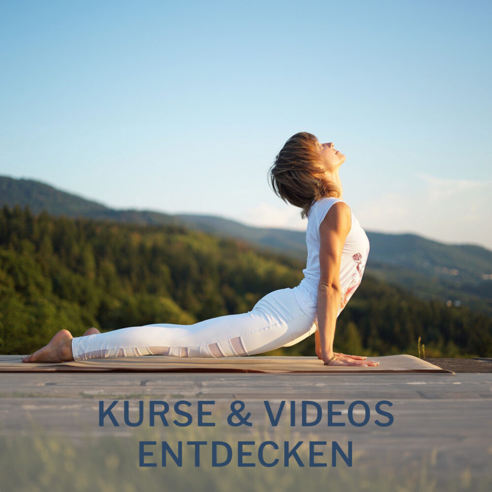 Kurse & Videos entdecken